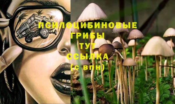 прущая мука Абаза