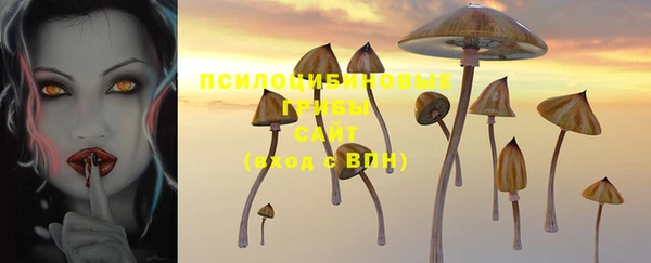 эйфоретик Абинск