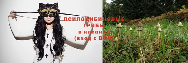прущая мука Абаза