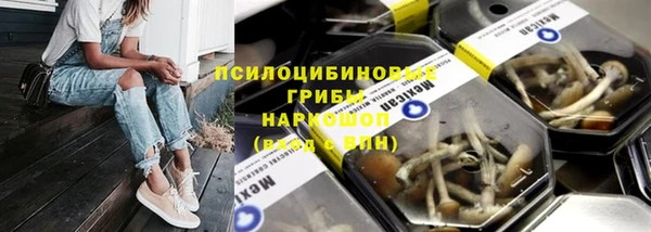 эйфоретик Абинск