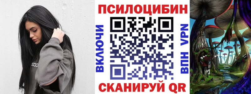 закладки Дубовка Галлюциногенные грибы GOLDEN TEACHER
